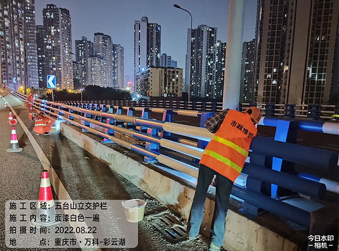 重慶市九龍坡區(qū)2022年結構容貌整治工程